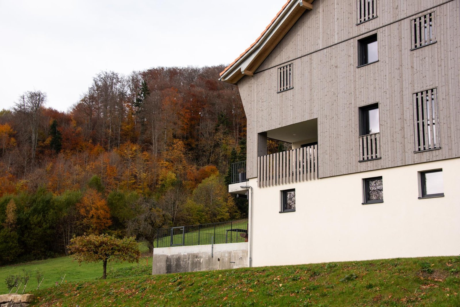 Building with a wooden facade at the edge of a forest